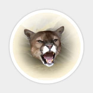 Mountain lion Magnet